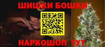 кокс Кингисепп