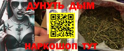 кокс Кингисепп