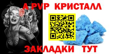 кокс Кингисепп