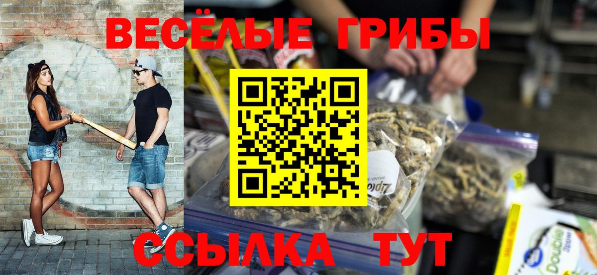 Галлюциногенные грибы MAGIC MUSHROOMS Геленджик