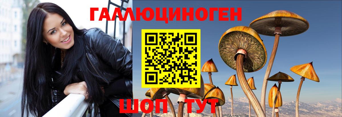 Псилоцибиновые грибы мицелий  купить закладку  Геленджик  Вход с VPN 