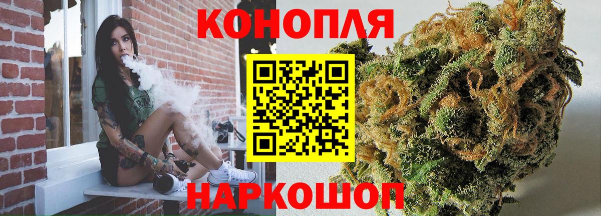 Конопля гибрид Геленджик